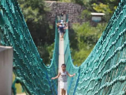 网红吊桥作文英语初中,Crossing the Swinging Bridge: A Journey of Internet Sensation and Self-Discovery