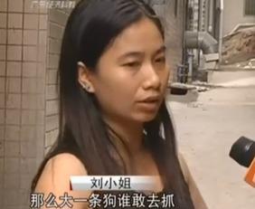 刘小姐最近的爆料视频大全,揭秘娱乐圈幕后真相