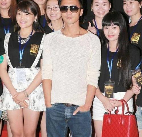 多明星双插,多明星双插共绘璀璨画卷