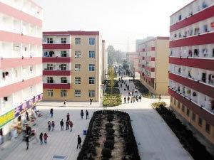 黎安明星学校,培育明日之星的教育殿堂