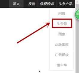 加入头条作者怎么操作,新手指南与操作步骤