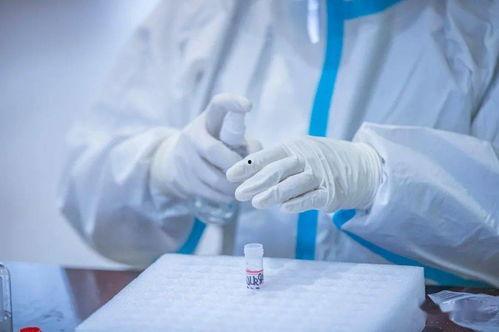 吃瓜口罩核酸,共筑防疫防线——核酸行动纪实