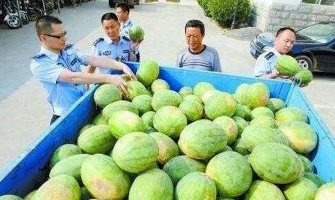 龙岩吃瓜群,揭秘网络社交圈的趣味与争议