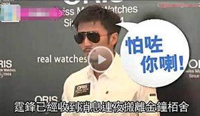 港媒爆料图片大全集视频,图片大全集视频深度解析