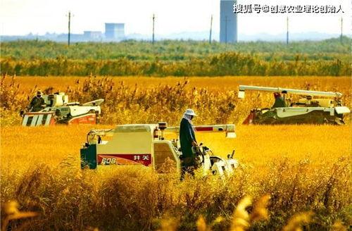 吉林今日头条农业农村,今日头条聚焦乡村振兴成果”