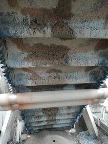 看皮带捡料,高效物料处理新篇章