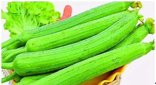 高瓜炒着吃,家常美味新体验