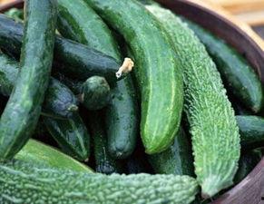 吃瓜吃到饱的味道,尽享夏日味蕾盛宴