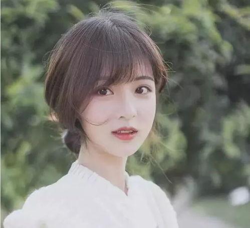 属龙天秤明星,璀璨星空中闪耀的龙翼天秤