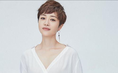 花城 太深了头条新闻,揭秘花城发展新篇章