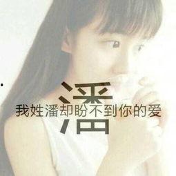 姓张明星三个字,闪耀星河的璀璨星辰