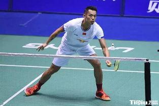 南京体育明星,荣耀与梦想的交织篇章