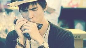 哪些明星吹过口琴,盘点那些吹响音乐魔法的明星