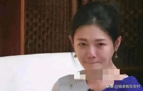 台媒评张兰最新爆料,台媒深度解读