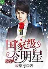 出国后的明星小说