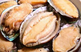 鲍鱼可以和角瓜一起吃吗,营养美味的健康食谱