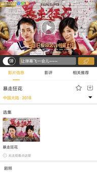 超级在线观看视频,揭秘热门视频背后的精彩故事