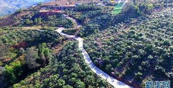 华坪网红地,探寻云南山间的璀璨明珠