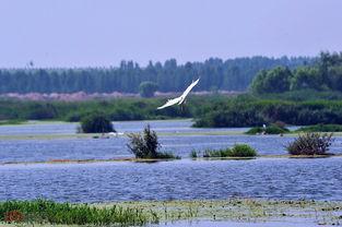山东菏泽古城新闻头条,历史与现代交融的璀璨明珠