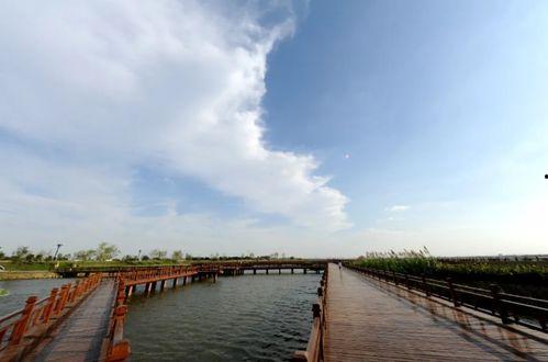 泰兴市网红拍照地点