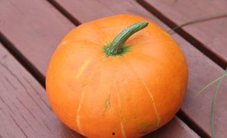 过了秋吃瓜的害处