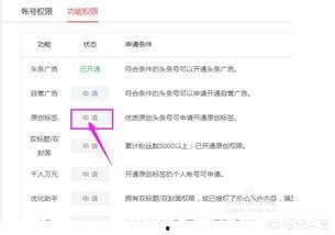 头条文章怎么自己写小说,如何创作独具特色的小说