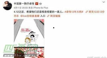 卓伟爆料相亲完整版视频