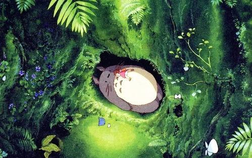 龙猫博士爆料视频播放,视频播放背后的惊人真相