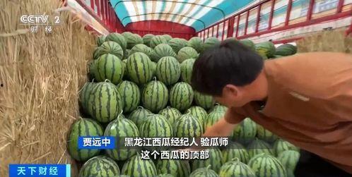 娱乐吃瓜蜀黍海苔咪,揭秘娱乐圈幕后故事